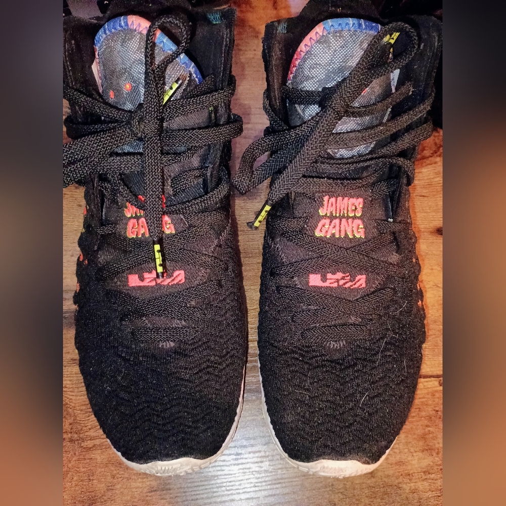 LeBron James shoes